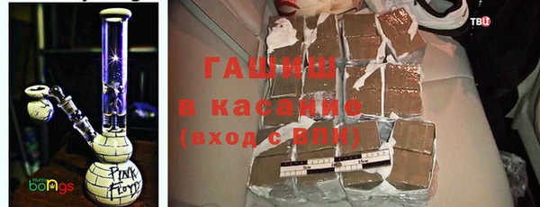 сатива Армянск