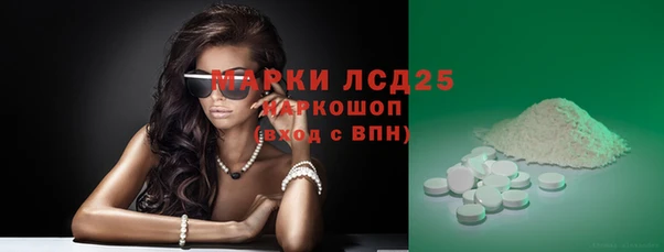 сатива Армянск