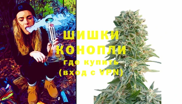 спиды Арсеньев