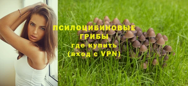 спиды Арсеньев