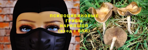 шишки Балабаново